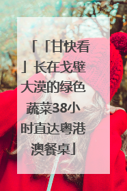 「甘快看」长在戈壁大漠的绿色蔬菜38小时直达粤港澳餐桌
