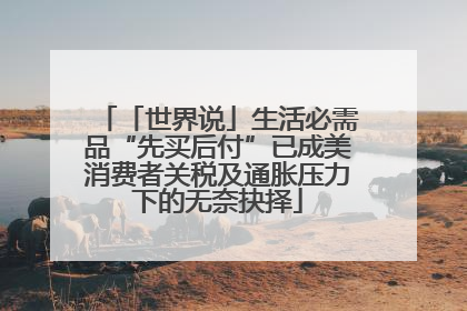「世界说」生活必需品“先买后付”已成美消费者关税及通胀压力下的无奈抉择