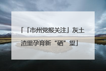 「市州党报关注」灰土渣里孕育新“硒”望