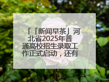 「新闻早茶」河北省2025年普通高校招生录取工作正式启动，还有这些热点……