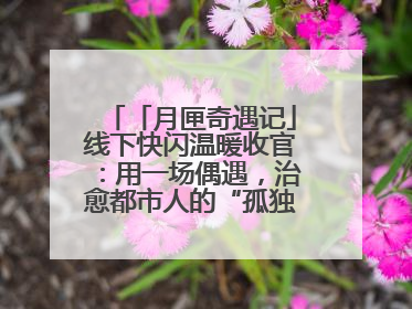 「月匣奇遇记」线下快闪温暖收官：用一场偶遇，治愈都市人的“孤独时刻”