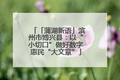 「蒲湖新语」滨州市博兴县：以“小切口”做好数字惠民“大文章”