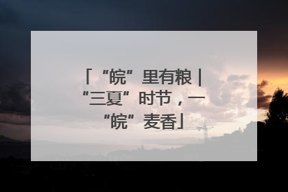“皖”里有粮｜“三夏”时节，一“皖”麦香