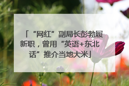 “网红”副局长彭勃履新职，曾用“英语+东北话”推介当地大米