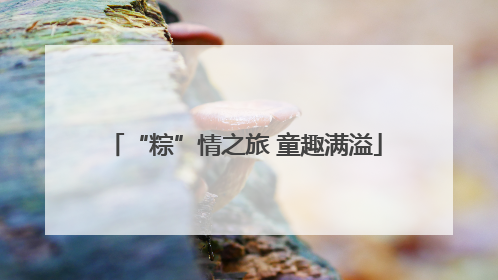 “粽”情之旅 童趣满溢