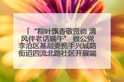 “粽叶飘香敬贤德 清风伴老话端午” 致公党李沧区基层委携手兴城路街道四流北路社区开展端午节主题活动