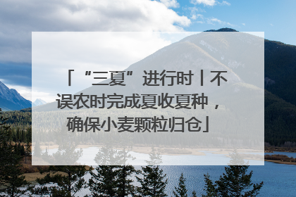 “三夏”进行时丨不误农时完成夏收夏种，确保小麦颗粒归仓