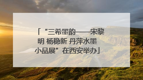 “三希墨韵——宋黎明 杨稳新 丹萍水墨小品展”在西安举办