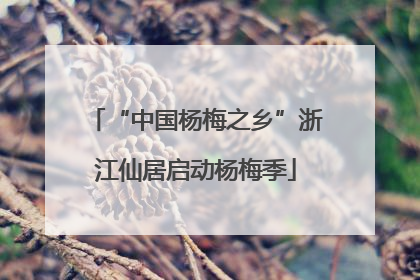 “中国杨梅之乡”浙江仙居启动杨梅季