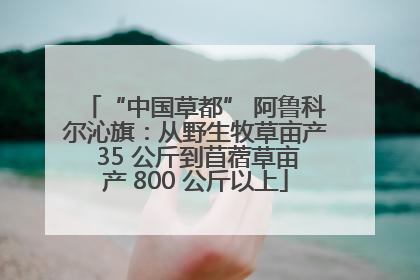 “中国草都” 阿鲁科尔沁旗：从野生牧草亩产 35 公斤到苜蓿草亩产 800 公斤以上