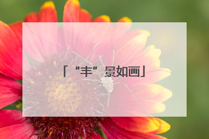 “丰”景如画