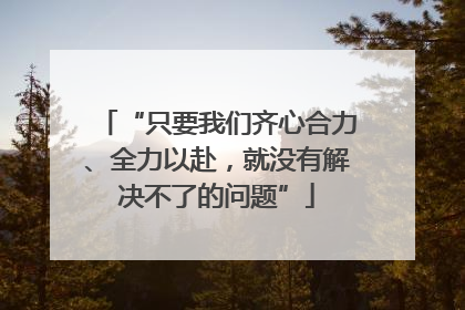 “只要我们齐心合力、全力以赴，就没有解决不了的问题”