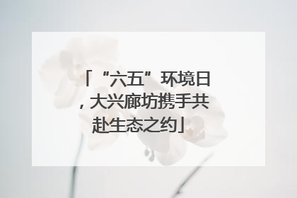 “六五”环境日，大兴廊坊携手共赴生态之约