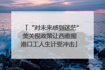 “对未来感到迷茫” 美关税政策让西雅图港口工人生计受冲击
