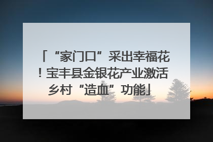 “家门口”采出幸福花！宝丰县金银花产业激活乡村“造血”功能