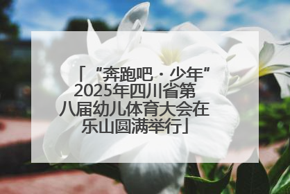 “奔跑吧・少年”2025年四川省第八届幼儿体育大会在乐山圆满举行