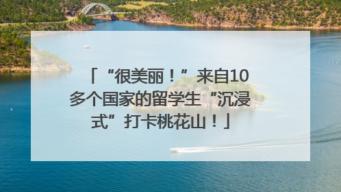 “很美丽！”来自10多个国家的留学生“沉浸式”打卡桃花山！