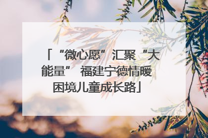 “微心愿”汇聚“大能量” 福建宁德情暖困境儿童成长路