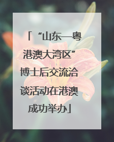 “山东—粤港澳大湾区”博士后交流洽谈活动在港澳成功举办