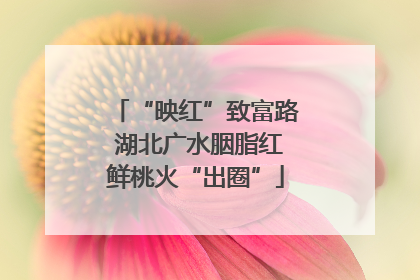 “映红”致富路 湖北广水胭脂红鲜桃火“出圈”