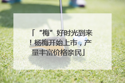 “梅”好时光到来！杨梅开始上市，产量丰富价格亲民