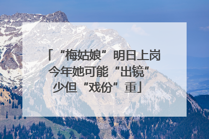“梅姑娘”明日上岗 今年她可能“出镜”少但“戏份”重