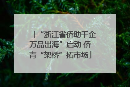“浙江省侨助千企万品出海”启动 侨青“架桥”拓市场