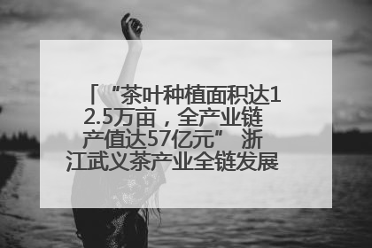 “茶叶种植面积达12.5万亩，全产业链产值达57亿元” 浙江武义茶产业全链发展“加速度”