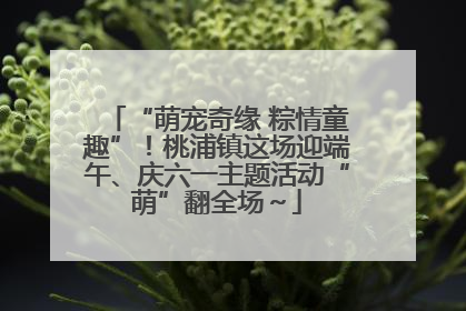 “萌宠奇缘 粽情童趣”！桃浦镇这场迎端午、庆六一主题活动“萌”翻全场～