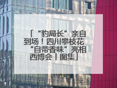 “豹局长”亲自到场！四川攀枝花“自带香味”亮相西博会丨图集