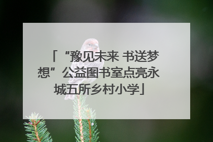 “豫见未来 书送梦想”公益图书室点亮永城五所乡村小学