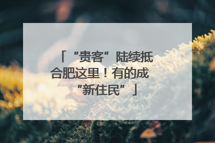 “贵客”陆续抵合肥这里！有的成“新住民”