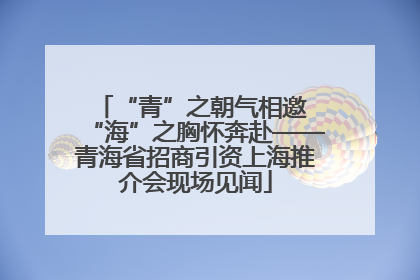 “青”之朝气相邀 “海”之胸怀奔赴——青海省招商引资上海推介会现场见闻