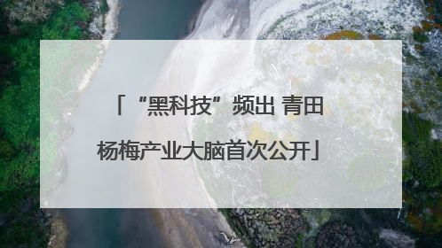 “黑科技”频出 青田杨梅产业大脑首次公开