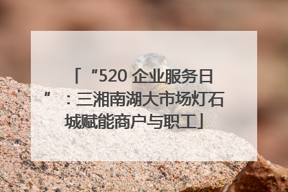 “520 企业服务日”：三湘南湖大市场灯石城赋能商户与职工