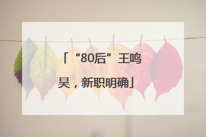 “80后”王鸣昊，新职明确