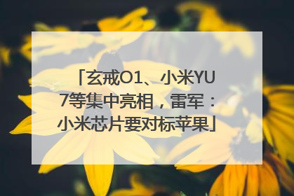 玄戒O1、小米YU7等集中亮相，雷军：小米芯片要对标苹果
