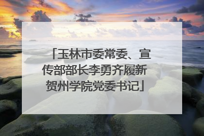 玉林市委常委、宣传部部长李勇齐履新贺州学院党委书记