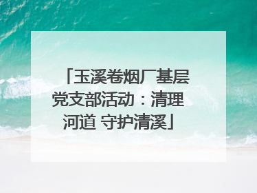 玉溪卷烟厂基层党支部活动：清理河道 守护清溪