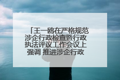 王一鸥在严格规范涉企行政检查暨行政执法评议工作会议上强调 推进涉企行政检查质效大幅提升