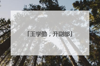 王学勤，升副部