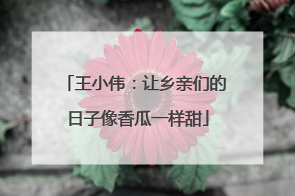 王小伟：让乡亲们的日子像香瓜一样甜