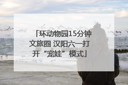 环动物园15分钟文旅圈 汉阳六一打开“宠娃”模式