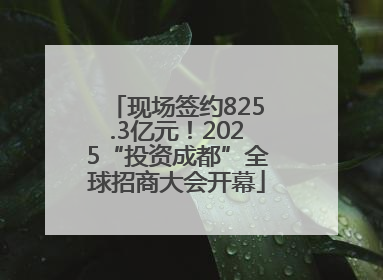 现场签约825.3亿元！2025“投资成都”全球招商大会开幕