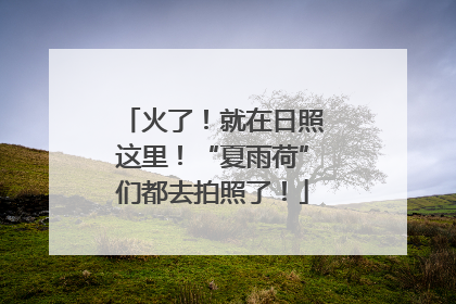 火了！就在日照这里！“夏雨荷”们都去拍照了！