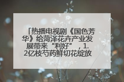 热播电视剧《国色芳华》给菏泽花卉产业发展带来“利好”，1.2亿枝芍药鲜切花绽放“国色芳华”