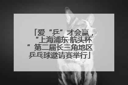 爱“乒”才会赢，“上海浦东·航头杯”第二届长三角地区乒乓球邀请赛举行