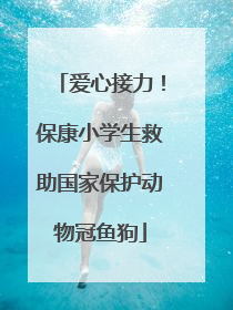 爱心接力！保康小学生救助国家保护动物冠鱼狗