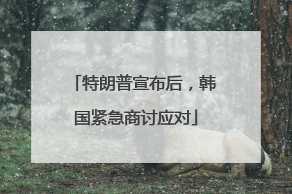 特朗普宣布后，韩国紧急商讨应对