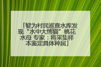 犍为村民巡查水库发现“水中大熊猫”桃花水母 专家：将采集样本鉴定具体种属